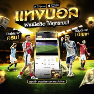 เว็บไซต์แทงบอล